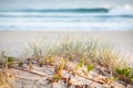 Sand Dune Grass and Waves Coolangatta Queensland Australia Royalty Free Stock Photo