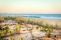 Sand Dune Grass Coolangatta Australia Royalty Free Stock Photo