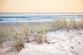 Sand Dune Grass Coolangatta Queensland Australia Royalty Free Stock Photo