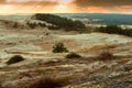 Sand dune, the sand and the grass on the hilly shore of the sea Royalty Free Stock Photo