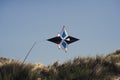 Sand dune kite on Fanoe