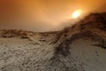 Sand dune in Landes country