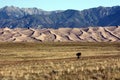 Sand Dune Landscape