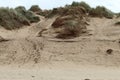 A sand dune located at Formby Beach in Merseyside