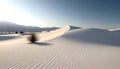 a sand dune with a bush in the middle of it