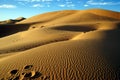 Sand dune near Merzuga