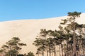 Sand dune of Pila and Landes forest