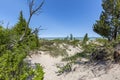 Sand Dune Ridge looking out over Lake Huron - Pinery Provincial Royalty Free Stock Photo