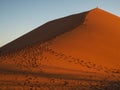 Sand dune ridge to summit with footprint in vast desert