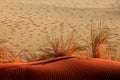 Sand Dune with Ripples and Fairy Circles Royalty Free Stock Photo