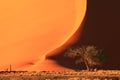 Sand Dune in Sossusvlei