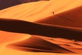 Sand Dune in Sossusvlei Royalty Free Stock Photo