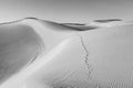 Sand dune in sunrise in the sonoran desert with human footsteps in the sand