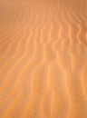 Sand Dune texture vertical background Royalty Free Stock Photo