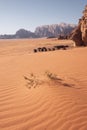 Sand dune with a thorn in the background Bedouin tourist camp in the famous red desert  Wadi Rum Royalty Free Stock Photo