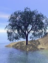 Sand dune tree with reflection