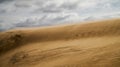 Sand dune in Uruguay Royalty Free Stock Photo