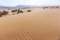 Sand Dune. Wadi Araba desert. Jordan Royalty Free Stock Photo