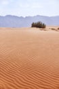 Sand Dune. Wadi Araba desert. Jordan landscape Royalty Free Stock Photo