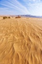 Sand Dune. Wadi Araba desert. Jordan Royalty Free Stock Photo