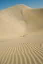 Sand dunes