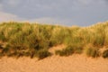 Sand Dunes Royalty Free Stock Photo