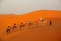 Among the sand dunes Royalty Free Stock Photo