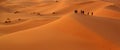 Among the sand dunes Royalty Free Stock Photo