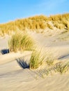 Sand dunes Royalty Free Stock Photo