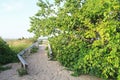 Sand Dunes Along Lake Michigan, USA