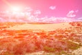 Sand dunes along the shore on the outer banks. Sintra , Portugal Royalty Free Stock Photo