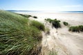 Sand dunes along the shoreline