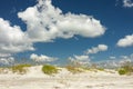 sand dunes at Anastasia island in Florida