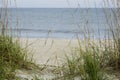 Sand dunes at the Atlantic Ocean Royalty Free Stock Photo