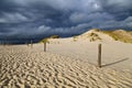 Sand dunes on the Baltic coast in the morning Royalty Free Stock Photo