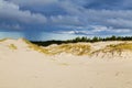 Sand dunes on the Baltic coast in the morning Royalty Free Stock Photo