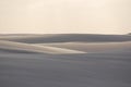 Sand Dunes On The Beach In Brazil