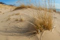 Sand dunes on beach Royalty Free Stock Photo