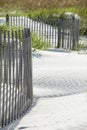 Sand dunes on a beach with sand fence Royalty Free Stock Photo