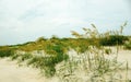 Sand dunes at a beach with grass and cloudy skies