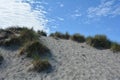 Sand dunes with beach grass on the North Sea Royalty Free Stock Photo