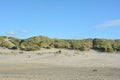 Sand dunes with beach grass at the North Sea Royalty Free Stock Photo