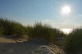 Sand dunes with beach grass at the North Sea with sun in the evening Royalty Free Stock Photo