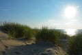 Sand dunes with beach grass at the North Sea with sun in the evening Royalty Free Stock Photo