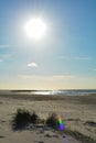 Sand dunes with beach grass at the North Sea with sun in the evening Royalty Free Stock Photo