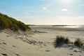 Sand dunes with beach grass at the North Sea with sun in the evening Royalty Free Stock Photo