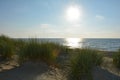 Sand dunes with beach grass at the North Sea with sun in the evening Royalty Free Stock Photo