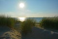 Sand dunes with beach grass at the North Sea with sun in the evening Royalty Free Stock Photo