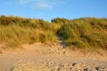 Sand dunes with beach grass on the North Sea Royalty Free Stock Photo