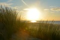 Sand dunes with beach grass and sun Royalty Free Stock Photo